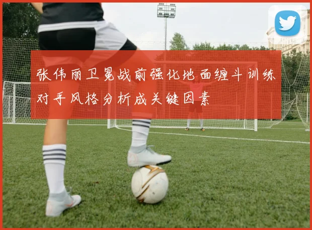 张伟丽卫冕战前强化地面缠斗训练对手风格分析成关键因素