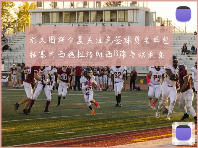 尤文图斯今夏关注免签球员名单包括塞内西施拉格凯西B席与切利克